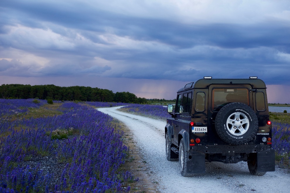 Lavender field and jeep